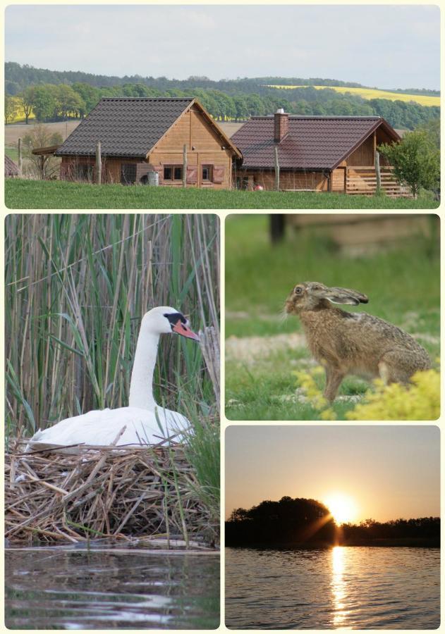 Domek Triftberg Villa Chojna Exterior foto